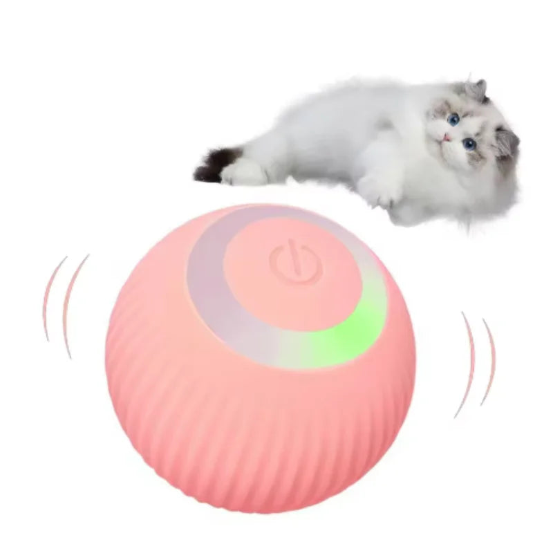 Interactive Cat Ball