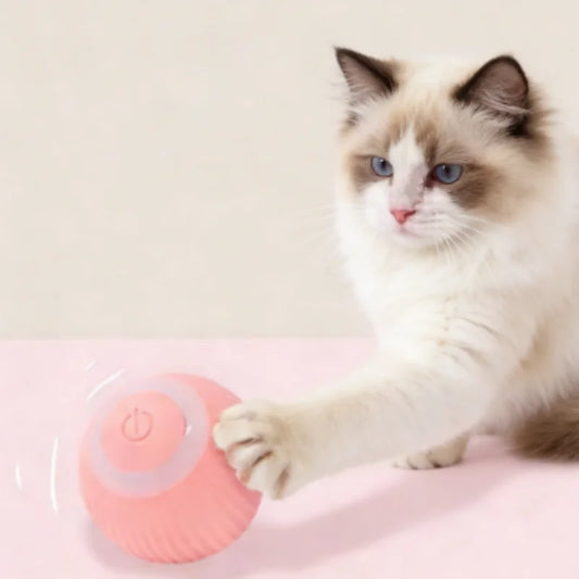 Interactive Cat Ball