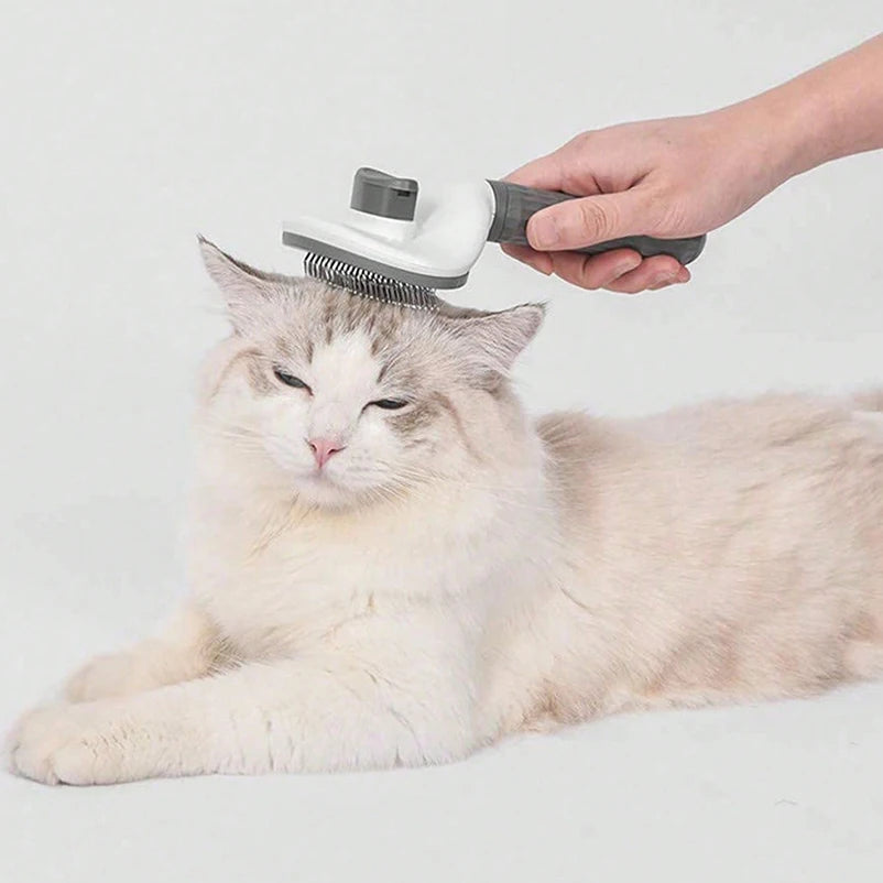 Gentle Pet Grooming Brush
